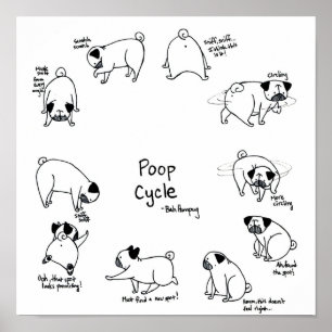 Póster Ciclo do tombadilho do Pug