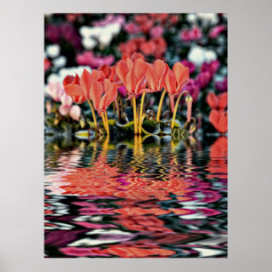 Póster Ciclos refletores na água