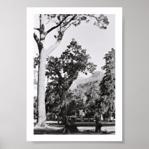 Poster Cidade do Cabo Natureza Montanha África do Sul ZA