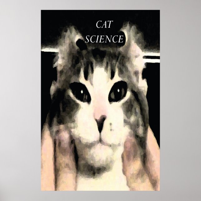Poster Ciência de Cat (Frente)