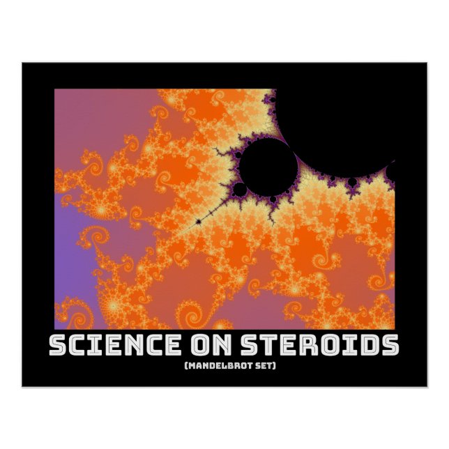 Póster Ciência Em Esteroides Mandelbrot Fractal (Frente)