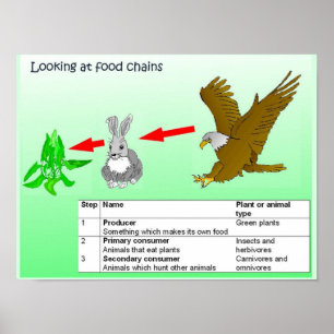 Póster Ciência, olhando cadeias alimentares
