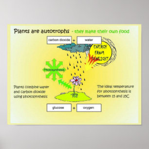 Poster Ciência, plantas, autógrafos, comida