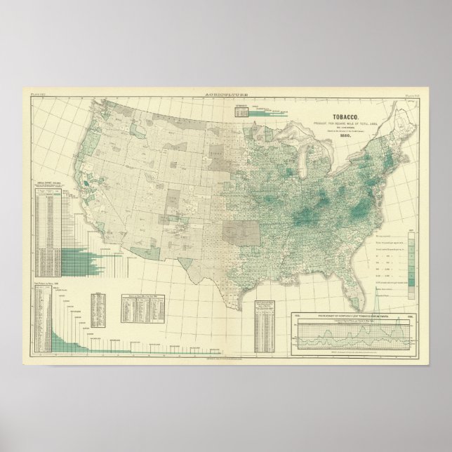 Póster Cigarro (Frente)