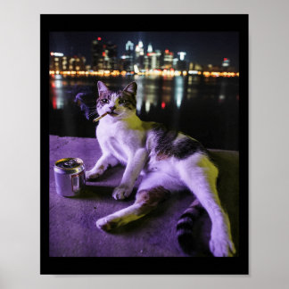 Poster Cigarro Gato Engraçado Fumar Gato Estúpido Bra