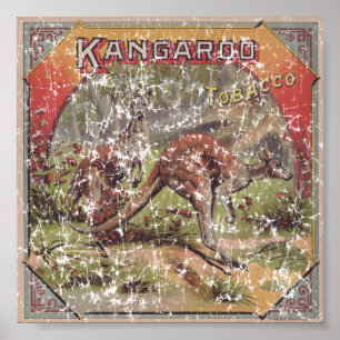 Poster Cigarro Kangaroo 1900 em dificuldades