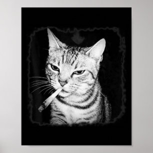Poster Cigarros Gangue de Gata Gato de Cigarro Cigarro En