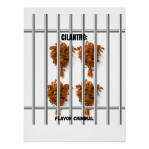 Póster Cilantro: Flavor Criminal - Engraçado Anti-Cilantr