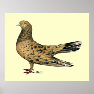 Poster Cilindro oriental voador:  Amêndoa
