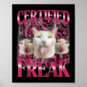 Poster Cimento de Comida de Pato Amaldiçoado Gato Engraça