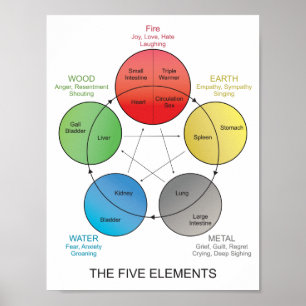 Poster Cinco elementos de arte de parede de acupuntura