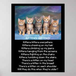 Póster Cinco Gatinhos Tabby Adoráveis