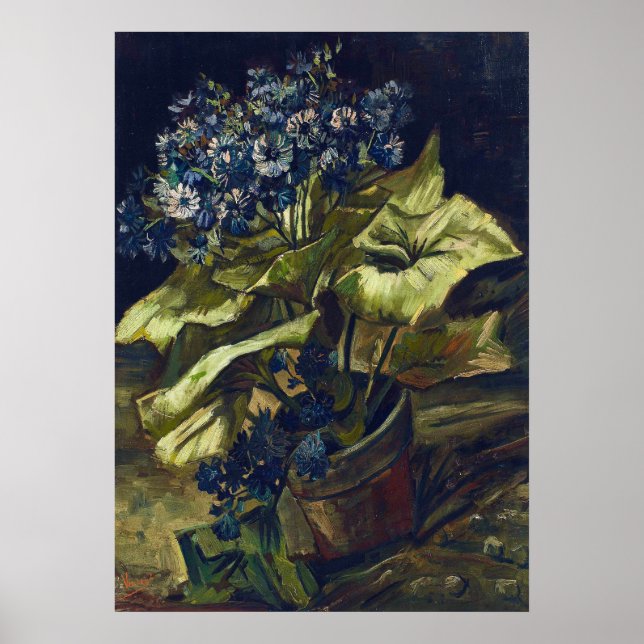 Poster Cinerária de Van Gogh em um vaso de flores (Frente)