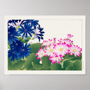 Poster Cineraria por Tanigami Konan
