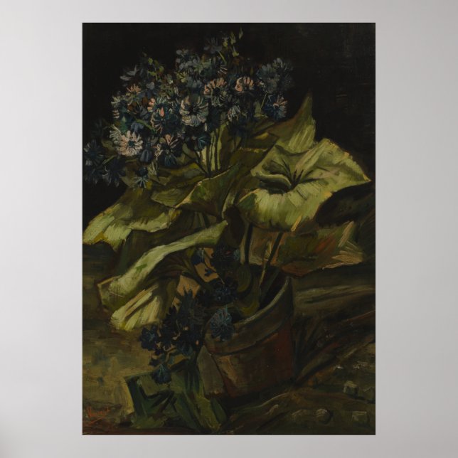 Póster Cineraria por Vincent Van Gogh (Frente)