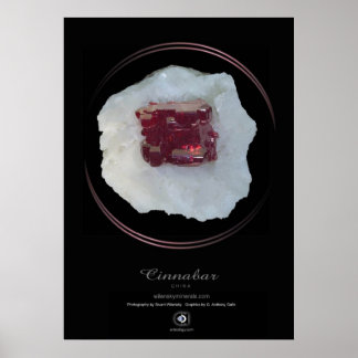 PÓSTER CINNABAR