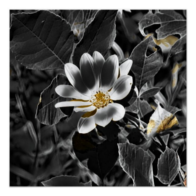 Póster Cinza (Frente)