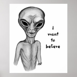 Poster Cinza Alienígena, quero acreditar