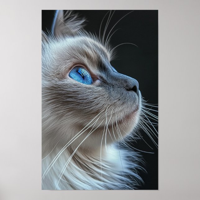 Poster Cinza com olhos azuis (Frente)