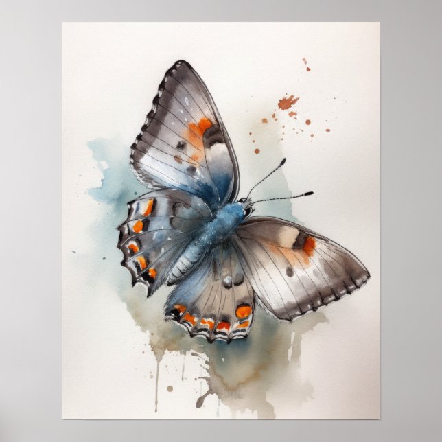Poster Cinza de Arte da Borboleta Hairstreak (Frente)