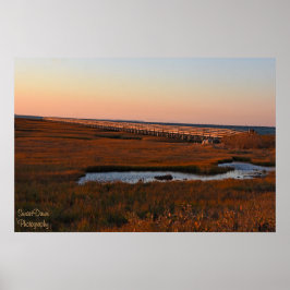 Poster Cinza de passarela de praia