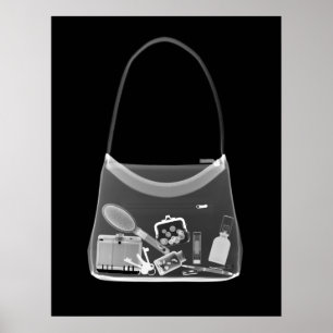 POSTER - CINZA DO PRETO DA BOLSA DO RAIO X