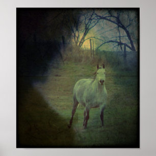 Poster Cinza Gallop Grunge