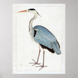 Poster Cinza indiana Heron (1780-1782) por Ram Das