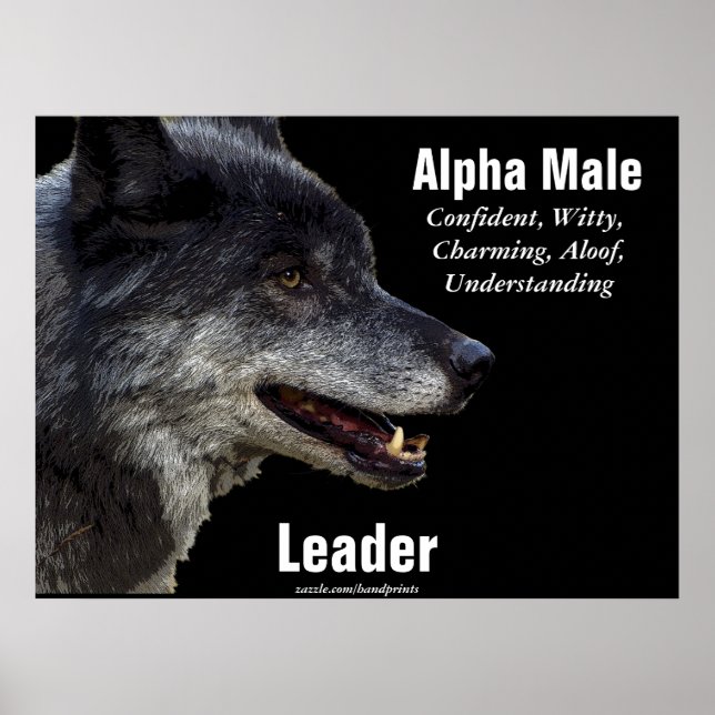 Póster Cinza Motivacional Wolf (Frente)
