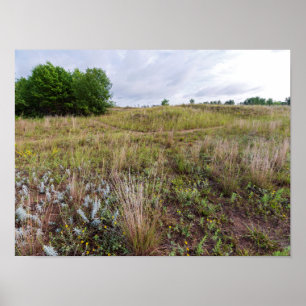 Poster cinza nuvem dunas prairie paisagem