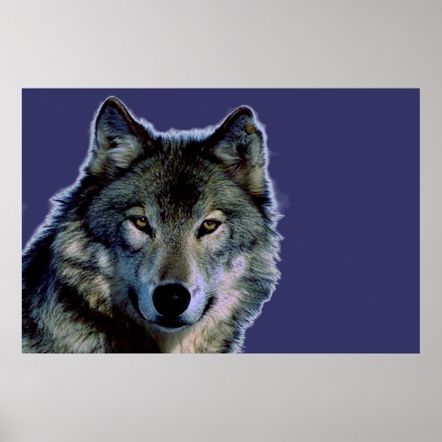 Poster Cinza Wolf (Frente)
