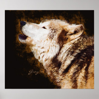 Poster Cinza Wolf Bay