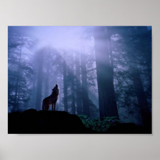 Póster Cinza Wolf Howling No Dawn