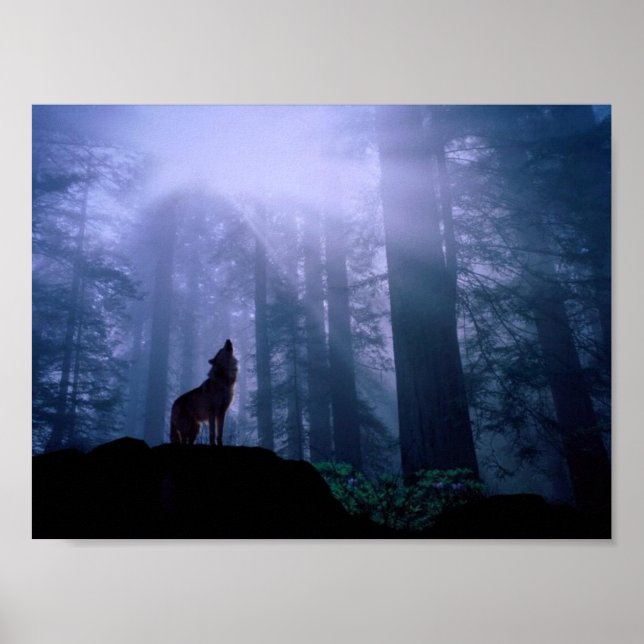 Póster Cinza Wolf Howling No Dawn (Frente)