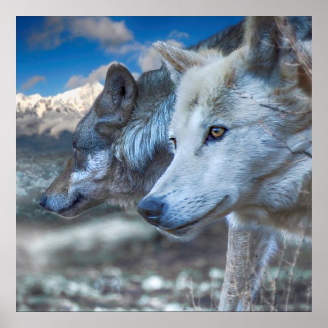 Poster Cinza Wolf SENTINELS (Frente)