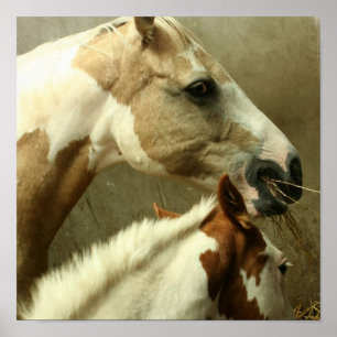 Poster cinzento do cavalo de Eventing