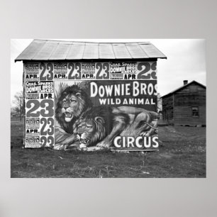 Póster Circo de Downie Bros: 1936