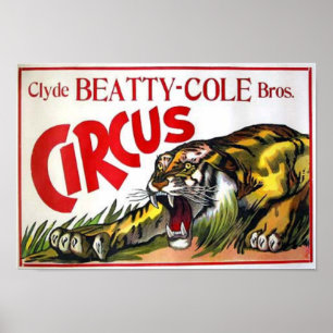 Poster Circo do Cole de Beatty
