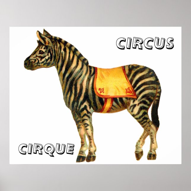 Poster Circo Vintage executando zebra (Frente)