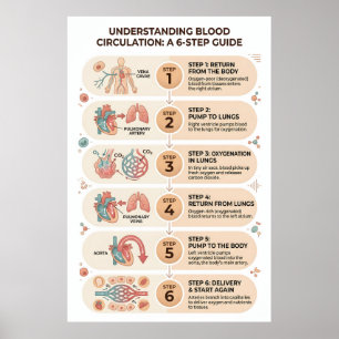 Poster Circulação Sanguínea Humana: Um Guia Educacional d