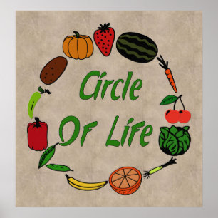 Poster Círculo Da Vida