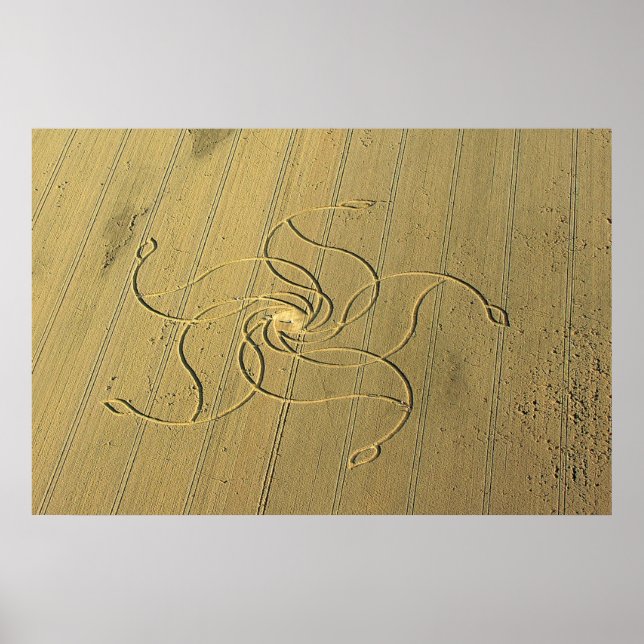 Poster Círculo de culturas em Diessenhofen, Suiça / (Frente)