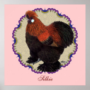 Poster Círculo Silkie