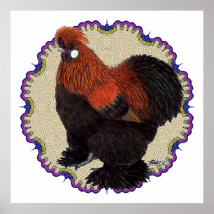 Poster Círculo Silkie