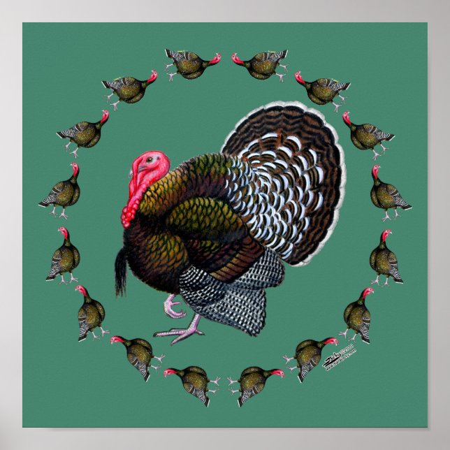 Póster Círculo Turquia (Frente)