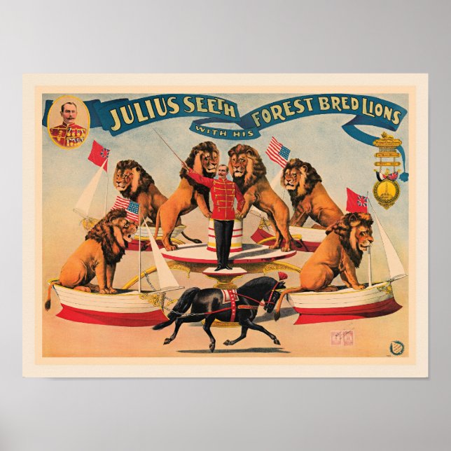 Poster Circus Lions, vintage illustration, (Frente)