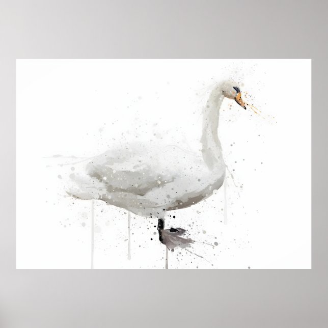 Poster Cisne (Frente)