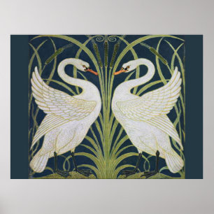 Póster Cisne Art Nouveau Dois Cisnes 