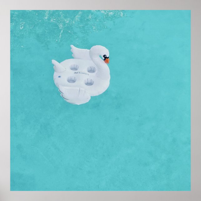 Poster Cisne branco inflável no corpo de água (Frente)