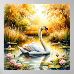 Poster Cisne Elegante Deslizando em Lago Tranquilo